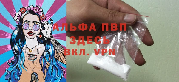 индика Баксан