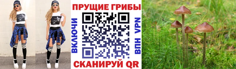Псилоцибиновые грибы Magic Shrooms купить наркотик Бузулук
